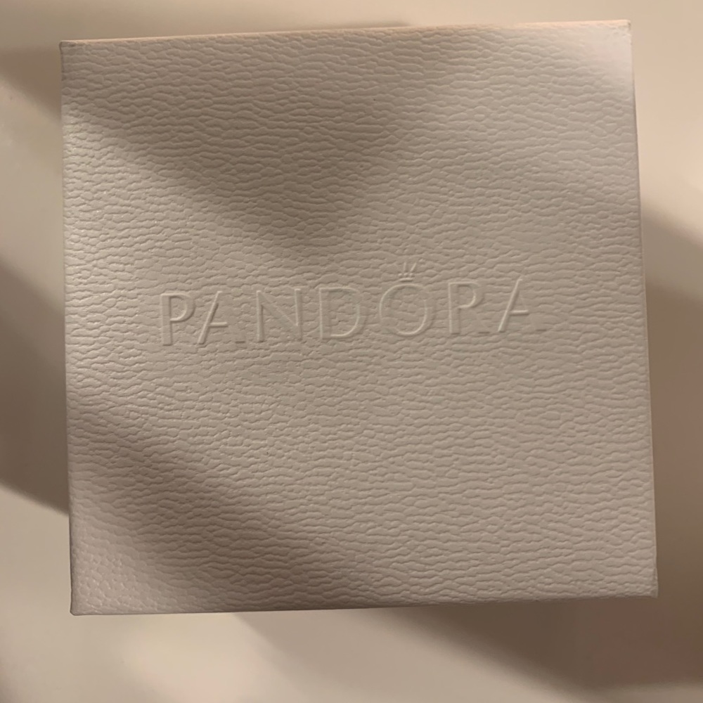New Pandora Charm bracelet